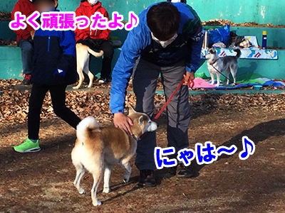 f:id:Shiba-MontBlanc:20201203150147j:plain