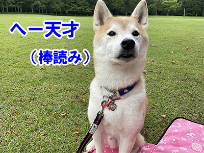 f:id:Shiba-MontBlanc:20210705182833j:plain