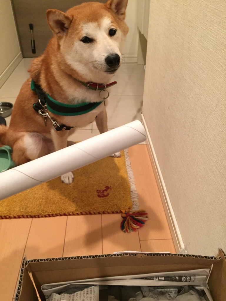 f:id:ShibaKoro:20160907171824j:plain