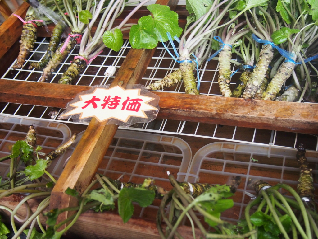 f:id:ShibaKoro:20160917154936j:plain f:id:ShibaKoro:20160917154936j:plain