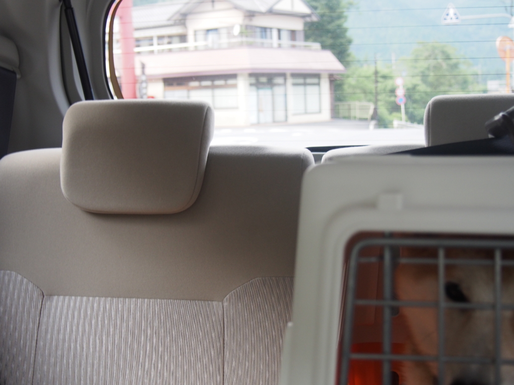 f:id:ShibaKoro:20160917160452j:plain f:id:ShibaKoro:20160917160452j:plain