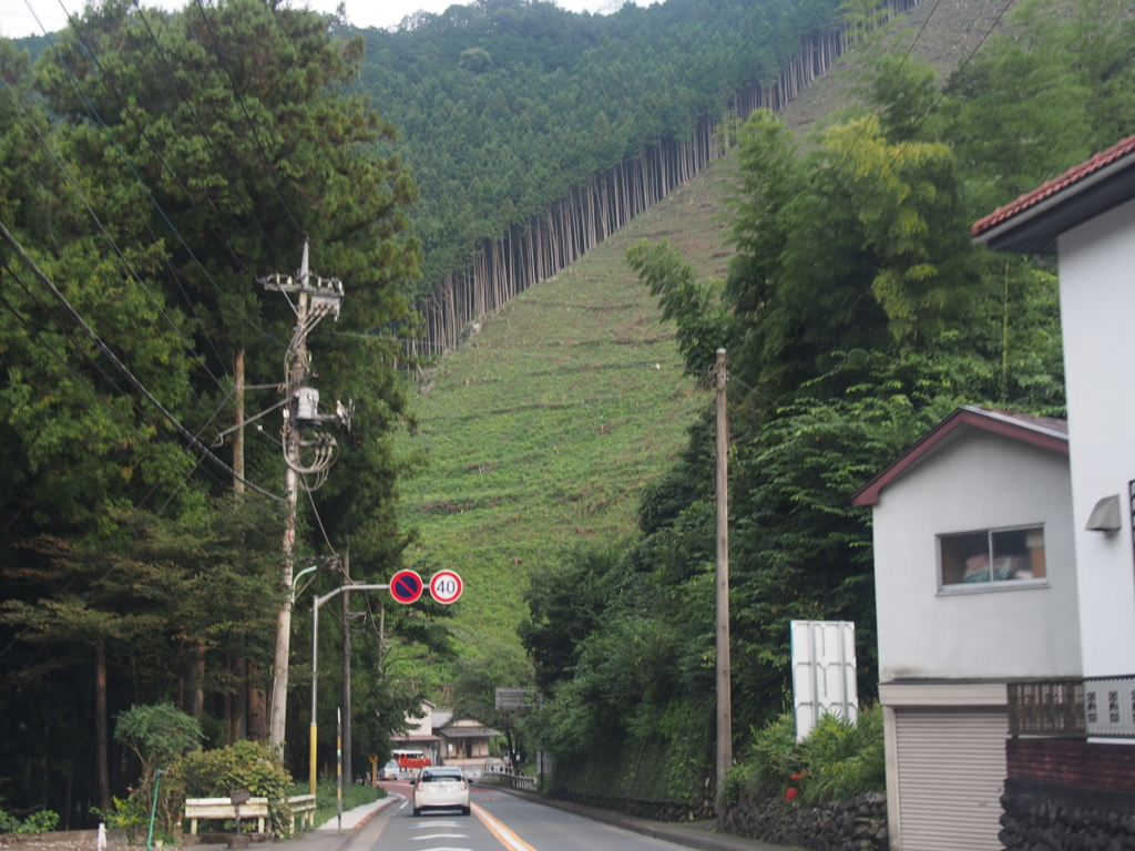 f:id:ShibaKoro:20160917160742j:plain f:id:ShibaKoro:20160917160742j:plain