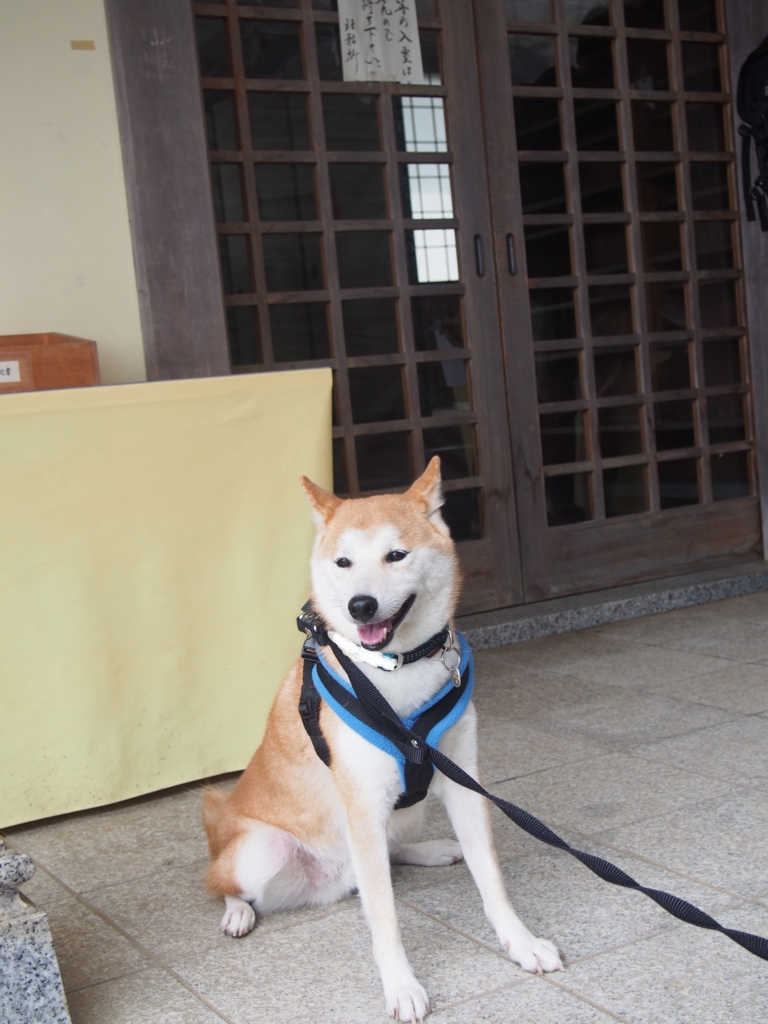 f:id:ShibaKoro:20160922131905j:plain f:id:ShibaKoro:20160922131905j:plain