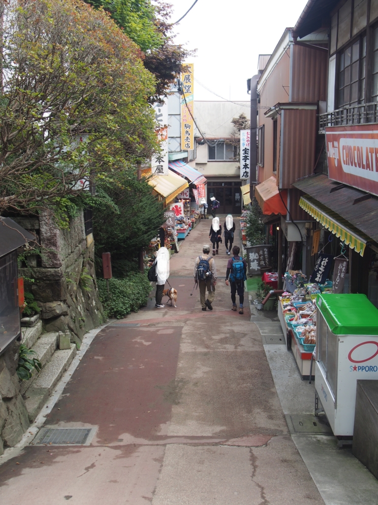 f:id:ShibaKoro:20160922133923j:plain f:id:ShibaKoro:20160922133923j:plain