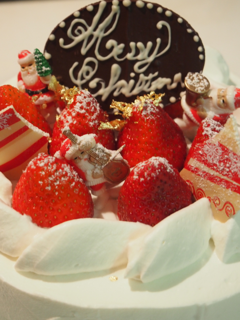 f:id:ShibaKoro:20161223204041j:plain