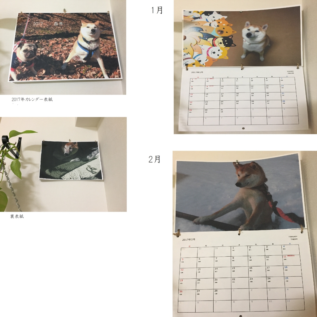 f:id:ShibaKoro:20170104232224j:plain
