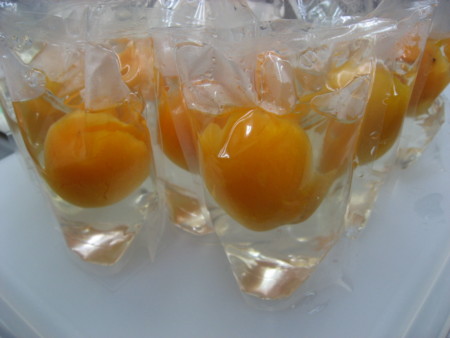 f:id:Shie-e:20110622233952j:image