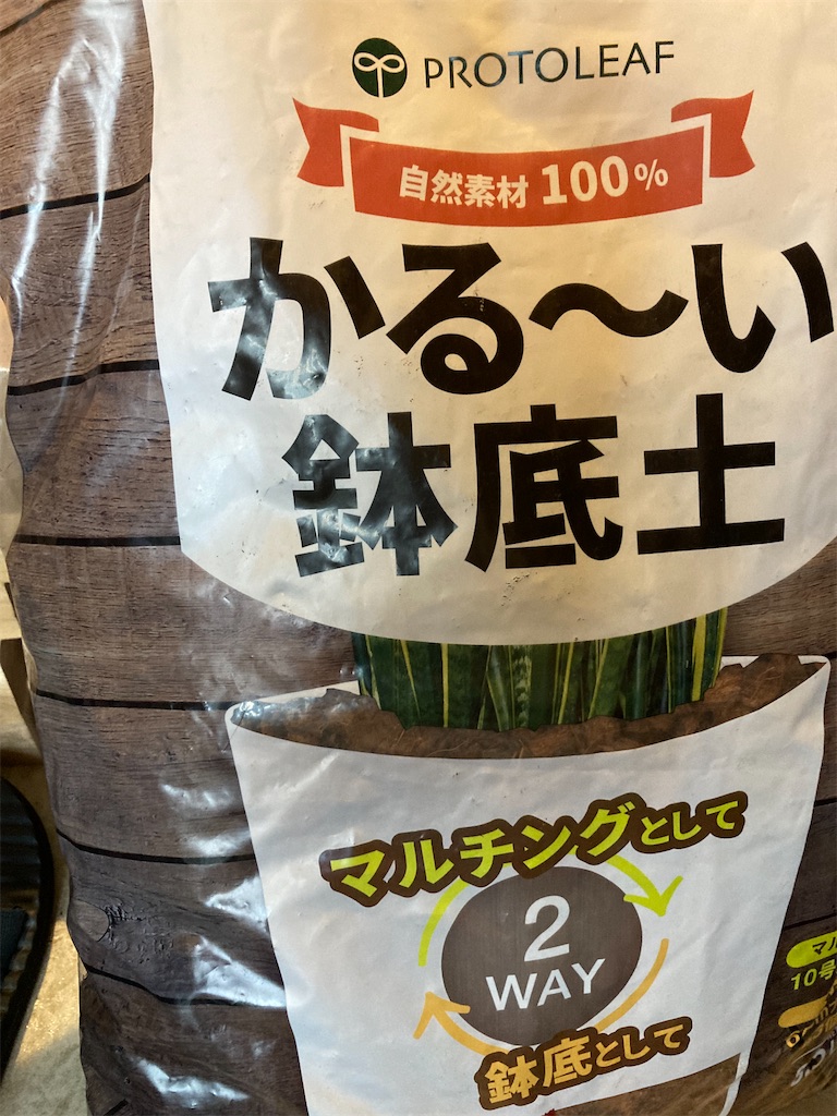 f:id:Shieri:20231001160551j:image f:id:Shieri:20231001160551j:image