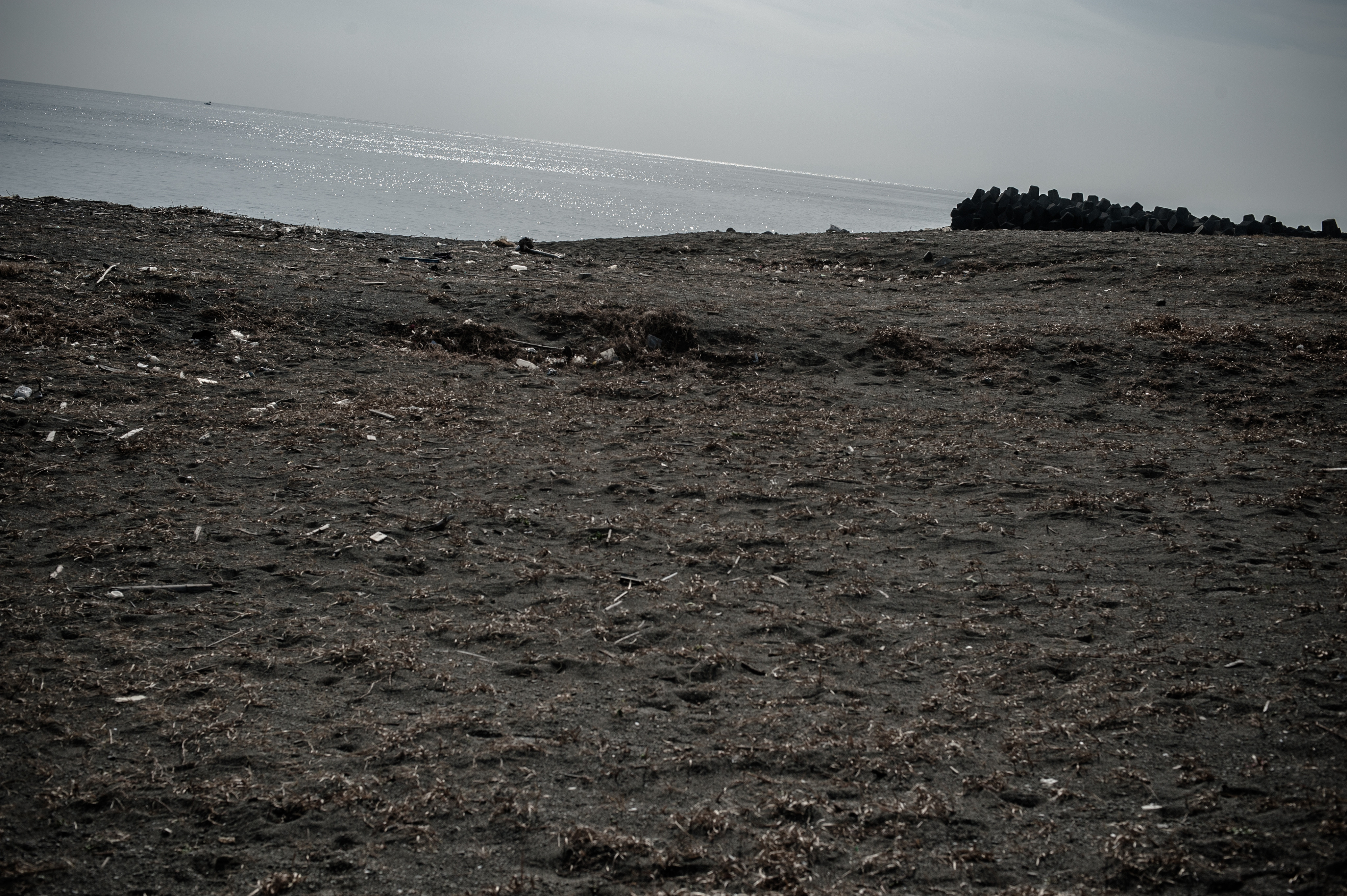 f:id:ShigeakiYazaki:20170129132235j:plain