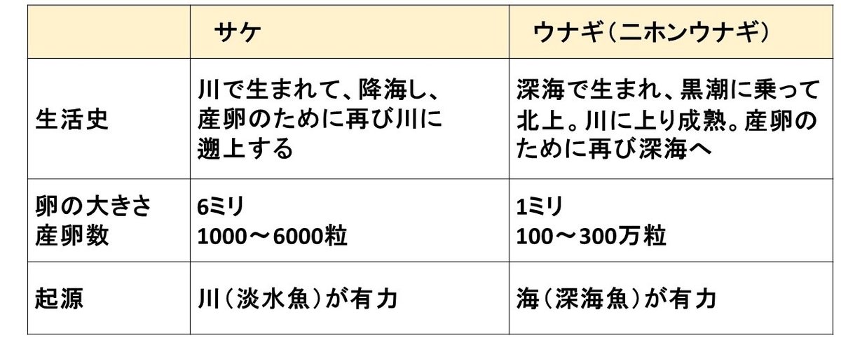 アマゴの生態11 サケ類とウナギの進化 遡上はするが 起源は異なる 自由研究のマインドセット