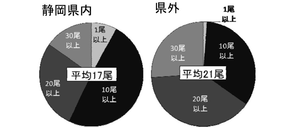 f:id:Shigehara_Nishiki:20200613222613j:plain