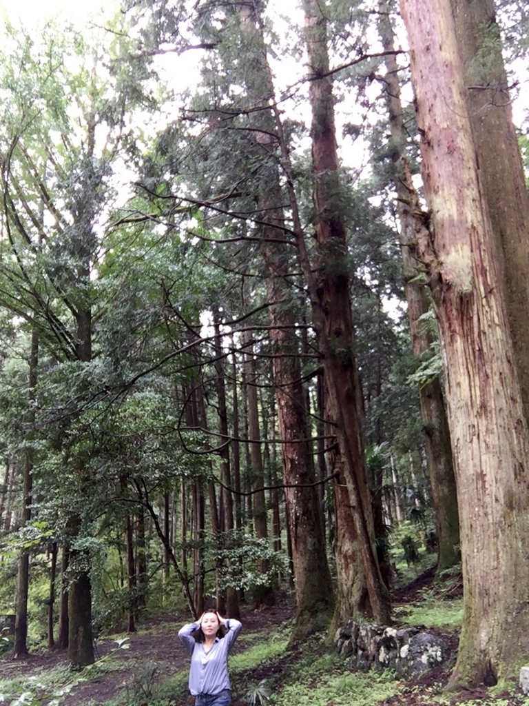 f:id:ShihomiKimijima:20160821175325j:plain f:id:ShihomiKimijima:20160821175325j:plain