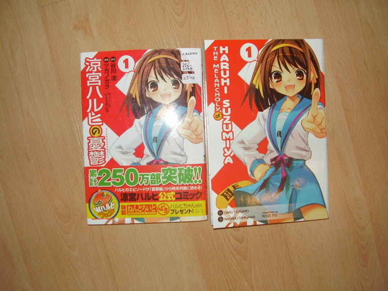20081113110257
