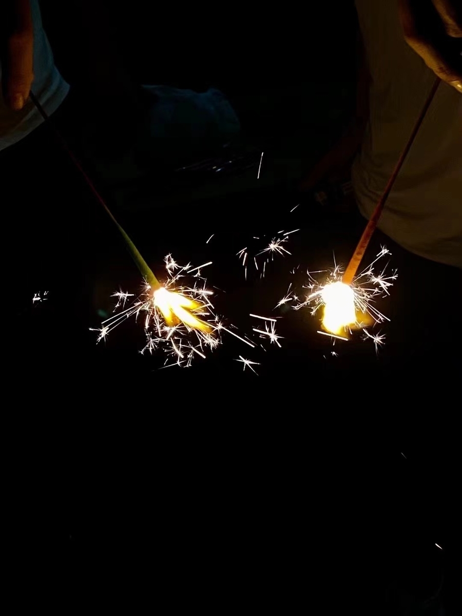 f:id:ShijiaCHEN:20210912095053j:plain