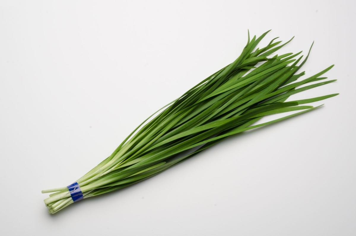 f:id:ShijiaCHEN:20211112154329j:plain