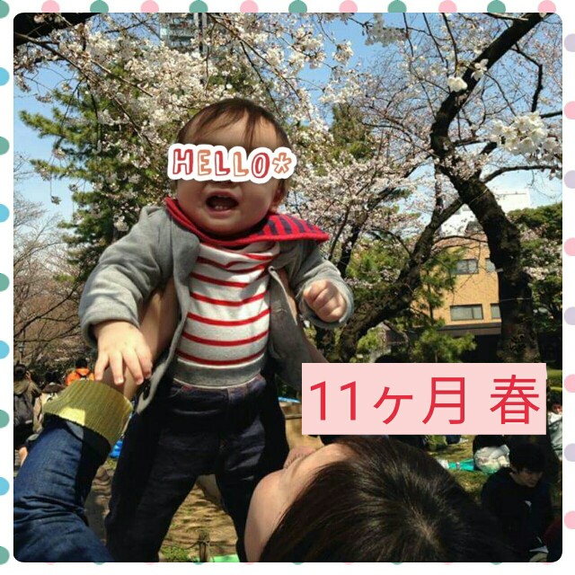 f:id:ShimaKo:20170427092740j:image f:id:ShimaKo:20170427092740j:image