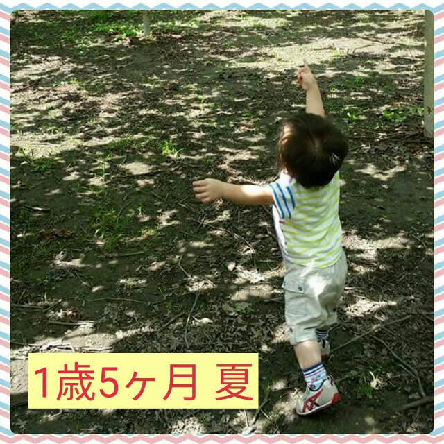 f:id:ShimaKo:20170427092802j:image f:id:ShimaKo:20170427092802j:image