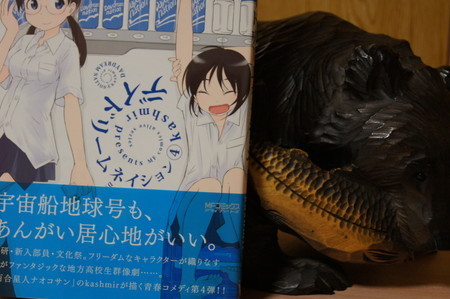 読書メモ 読了 デイドリームネイション 04 Kashmir Shin Shin53のブログ