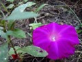 20120920100536