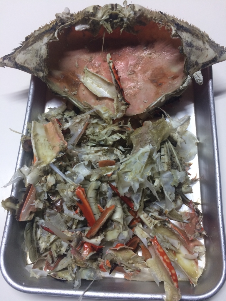 f:id:Shin-san:20180621182957j:plain f:id:Shin-san:20180621182957j:plain