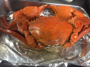 f:id:Shin-san:20180621185518j:plain f:id:Shin-san:20180621185518j:plain