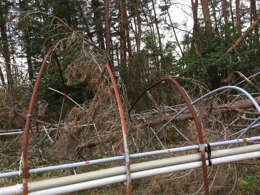 f:id:Shinba_farm:20220111223312j:image f:id:Shinba_farm:20220111223312j:image