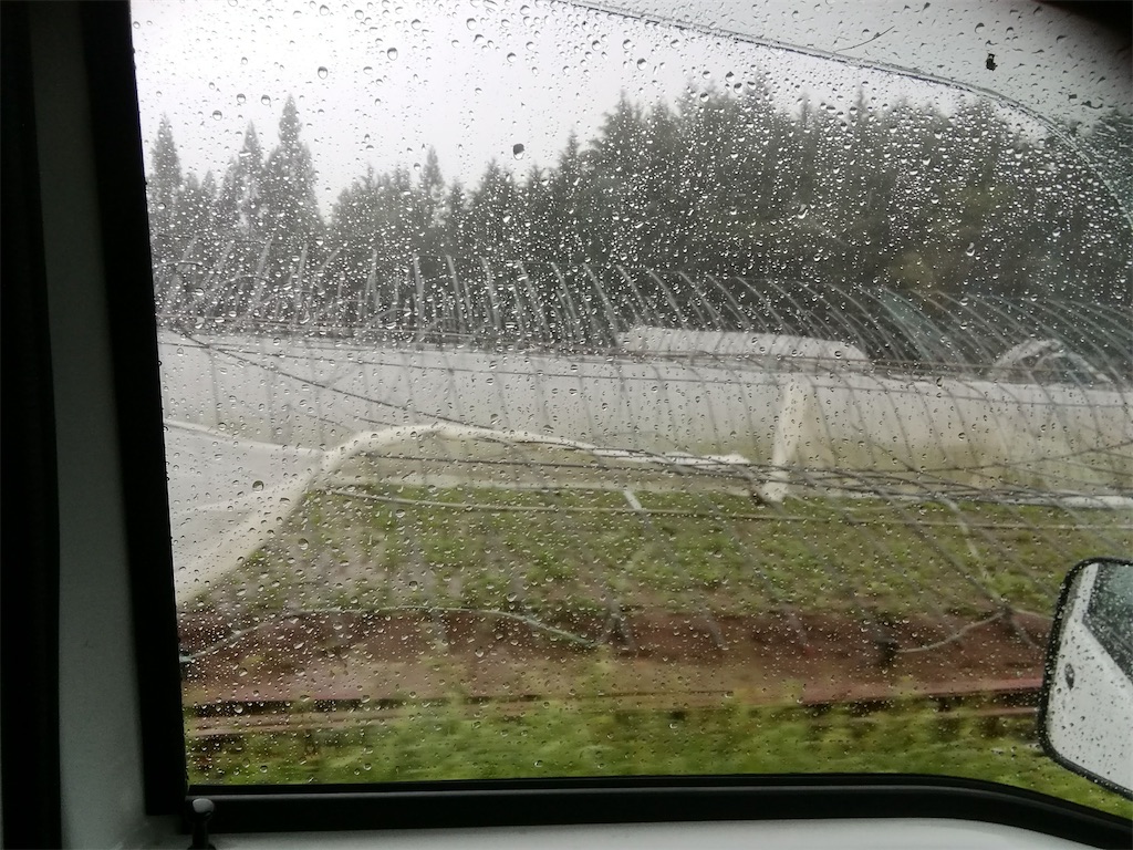 f:id:Shinba_farm:20220111224248j:image f:id:Shinba_farm:20220111224248j:image