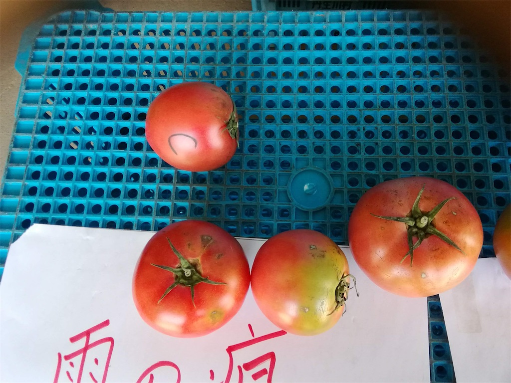 f:id:Shinba_farm:20220111224314j:image f:id:Shinba_farm:20220111224314j:image