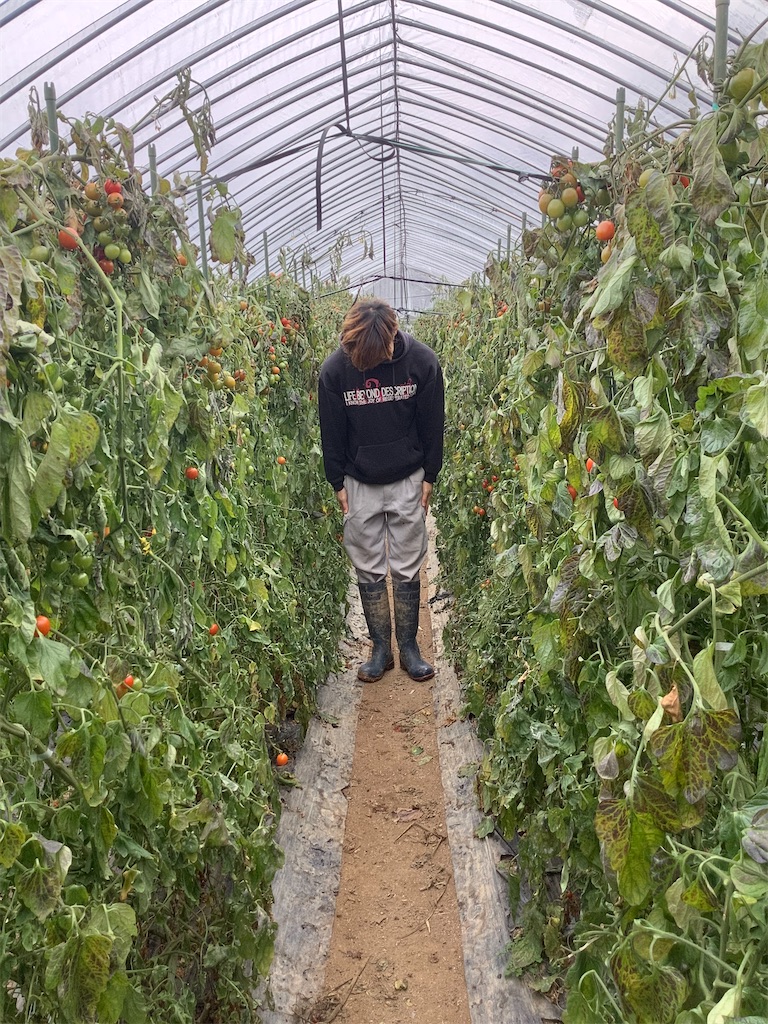 f:id:Shinba_farm:20220116192610j:image f:id:Shinba_farm:20220116192610j:image