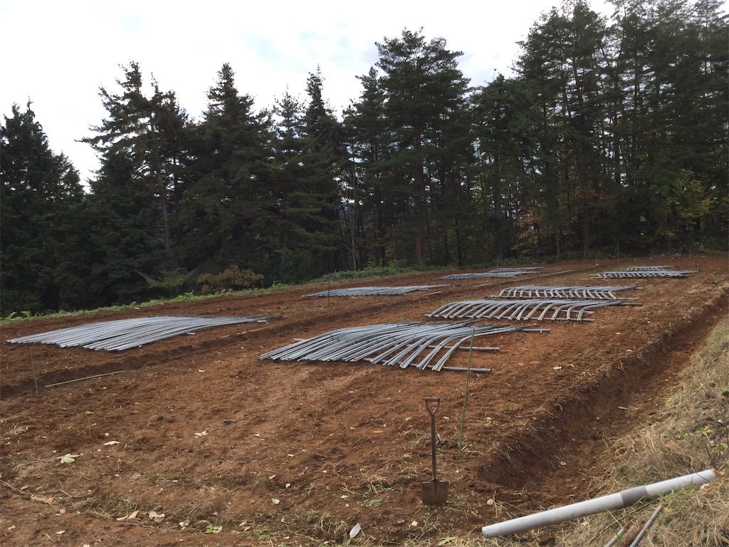 f:id:Shinba_farm:20220125155615j:image f:id:Shinba_farm:20220125155615j:image