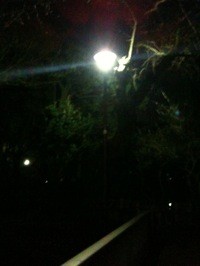 武蔵関公園