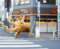 ダイオウイカ天