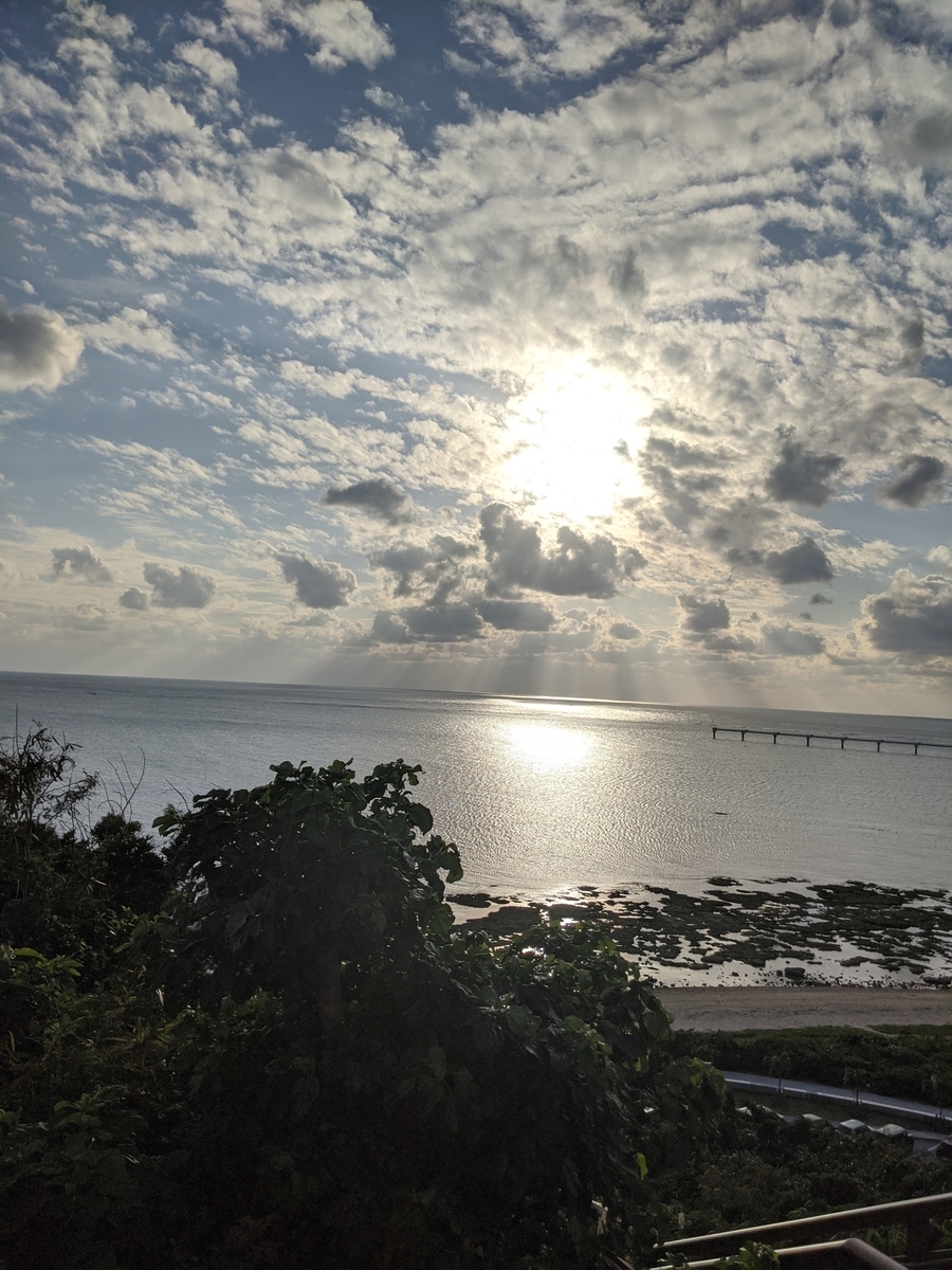 f:id:Shinju_san:20210103192624j:plain