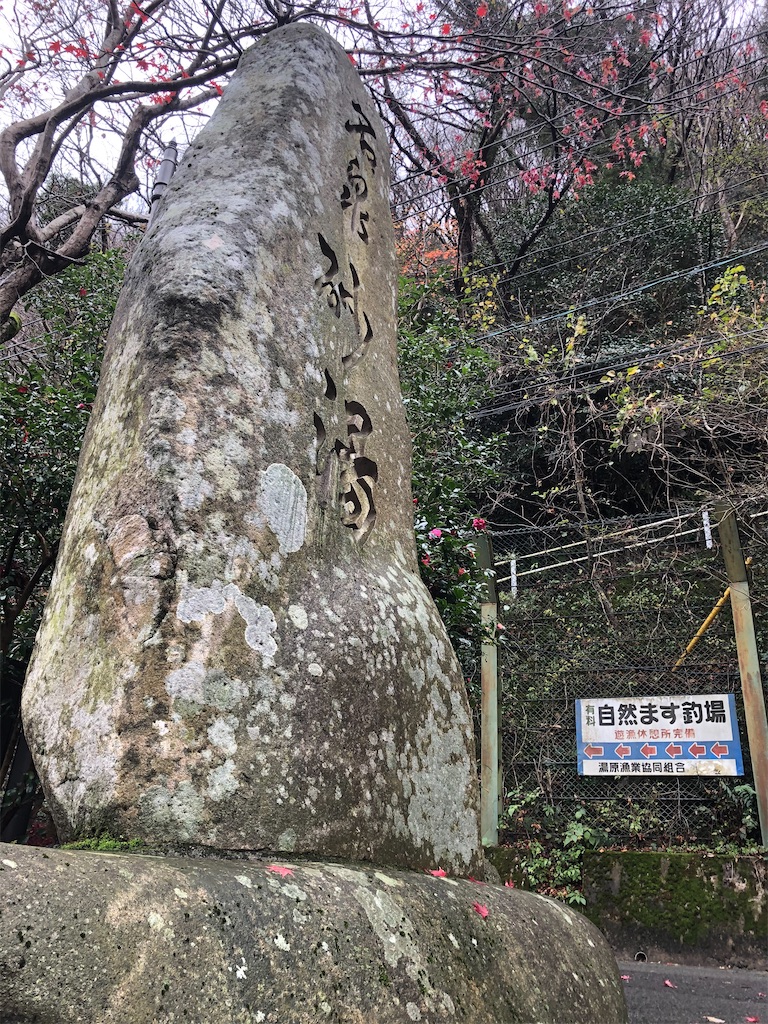 f:id:Shinjuku_3chome:20201216103632j:image