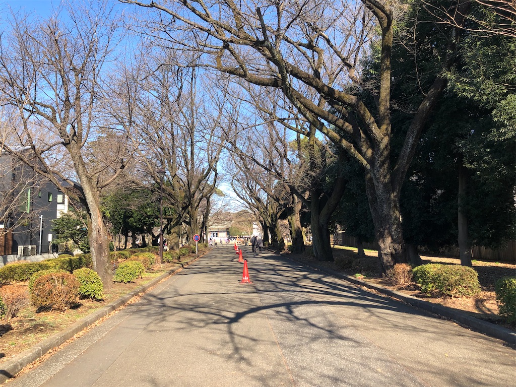 f:id:Shinjuku_3chome:20210219103224j:image f:id:Shinjuku_3chome:20210219103224j:image