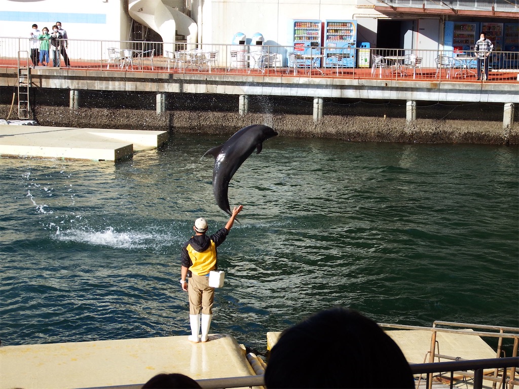 f:id:Shinjuku_3chome:20210515112753j:image f:id:Shinjuku_3chome:20210515112753j:image