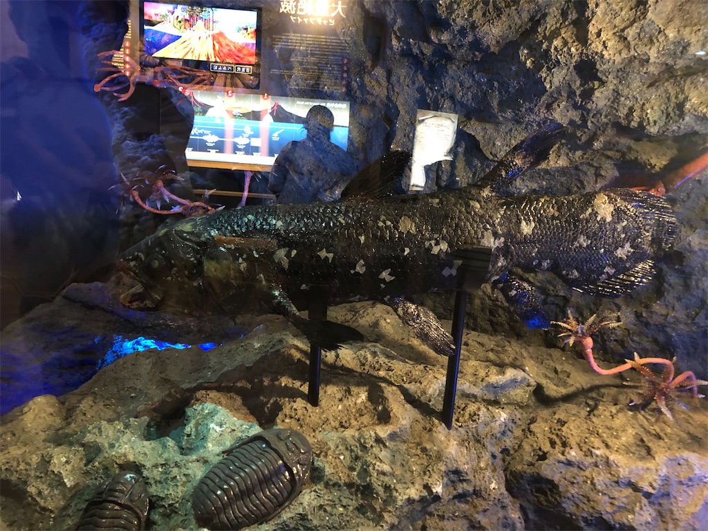 f:id:Shinjuku_3chome:20210901080946j:image