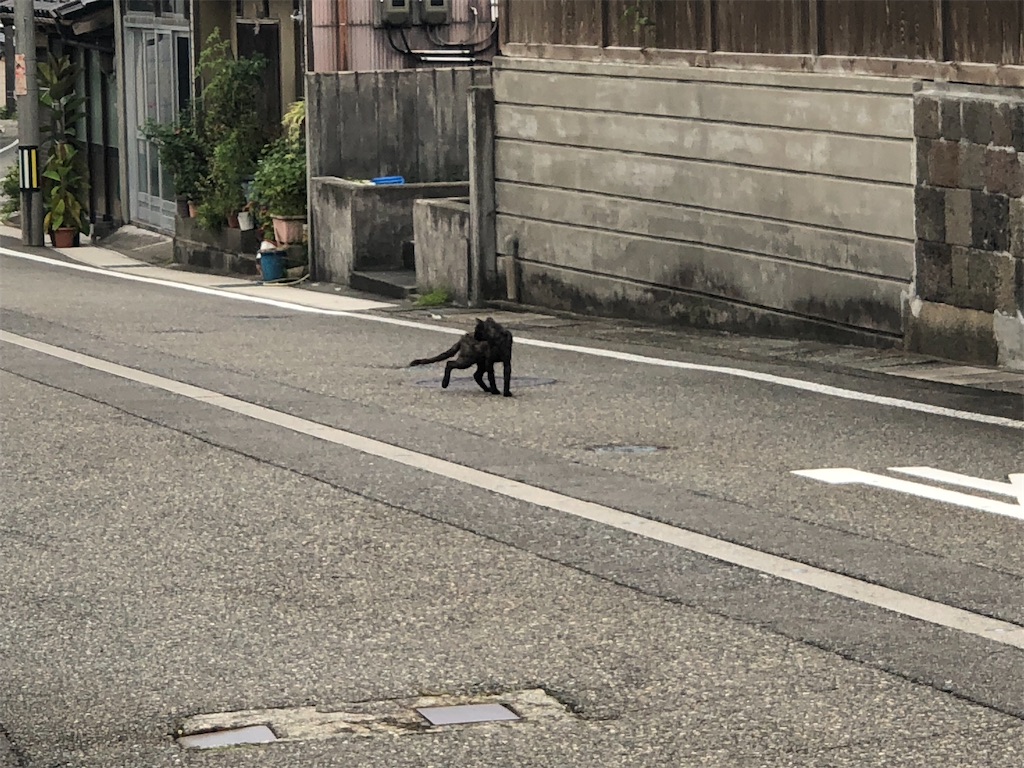f:id:Shinjuku_3chome:20210912201755j:image