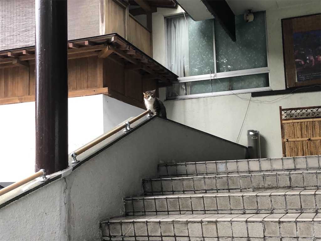 f:id:Shinjuku_3chome:20210921194231j:image
