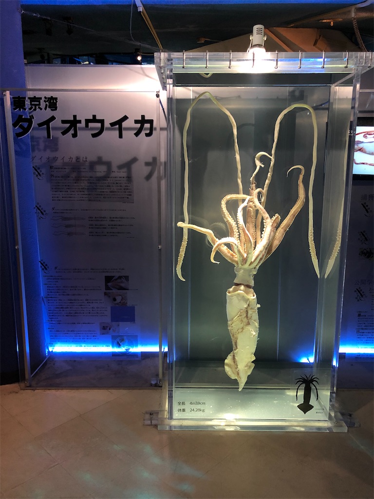 f:id:Shinjuku_3chome:20211011154445j:image