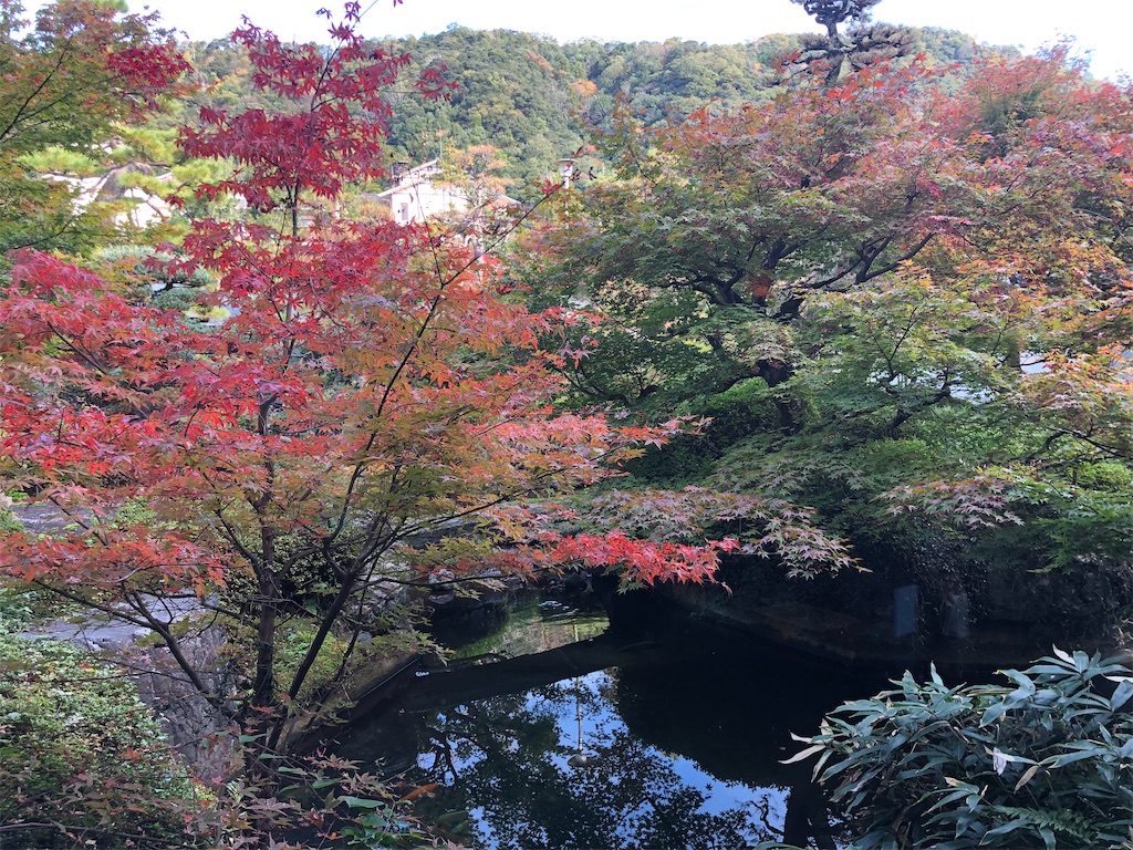 f:id:Shinjuku_3chome:20211110203204j:image