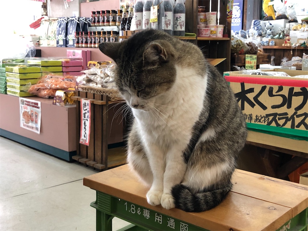 f:id:Shinjuku_3chome:20211223074245j:image f:id:Shinjuku_3chome:20211223074245j:image
