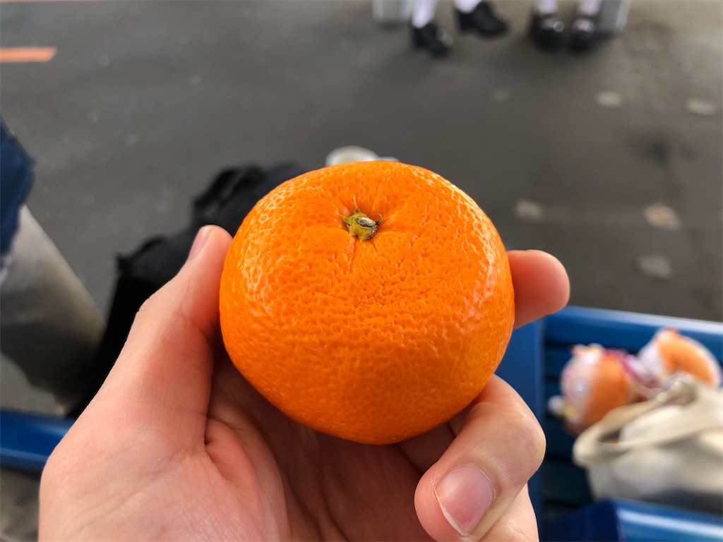 f:id:Shinjuku_3chome:20220319225751j:image