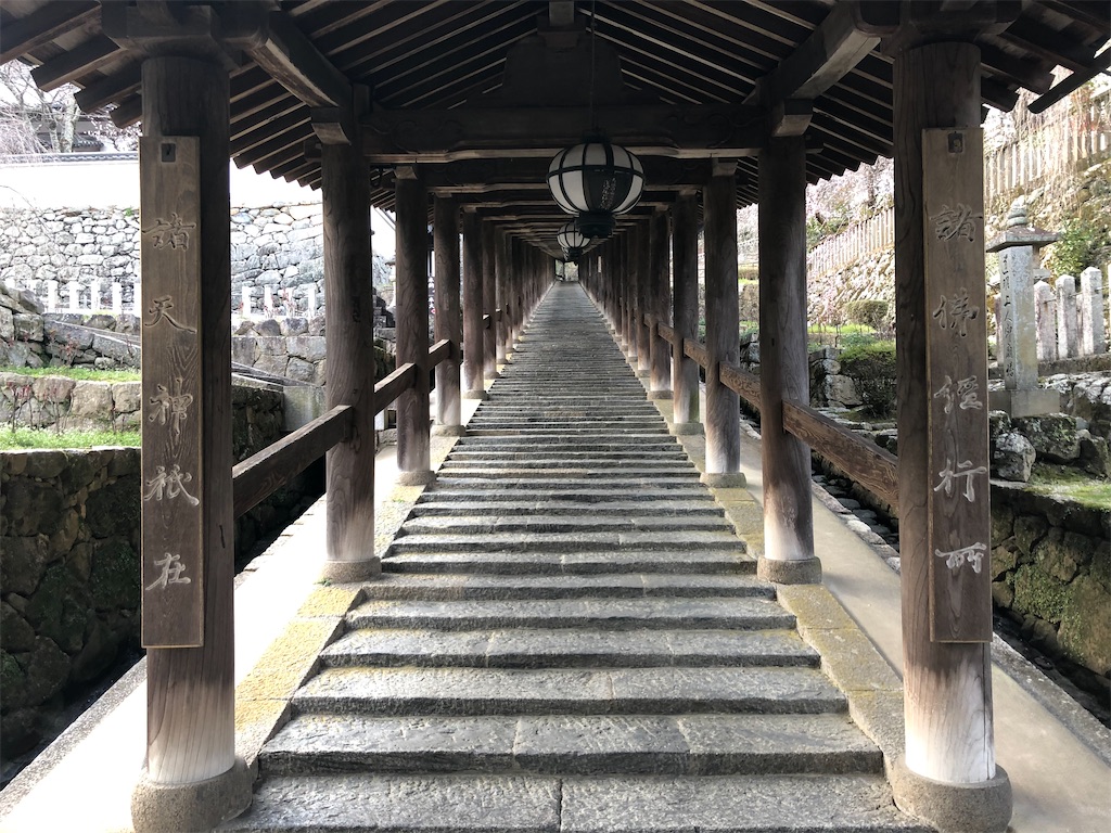 f:id:Shinjuku_3chome:20220330072421j:image