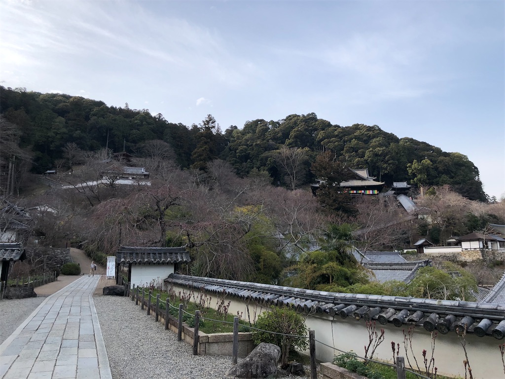 f:id:Shinjuku_3chome:20220330075736j:image