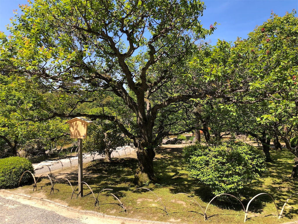 f:id:Shinjuku_3chome:20220525161956j:image f:id:Shinjuku_3chome:20220525161956j:image