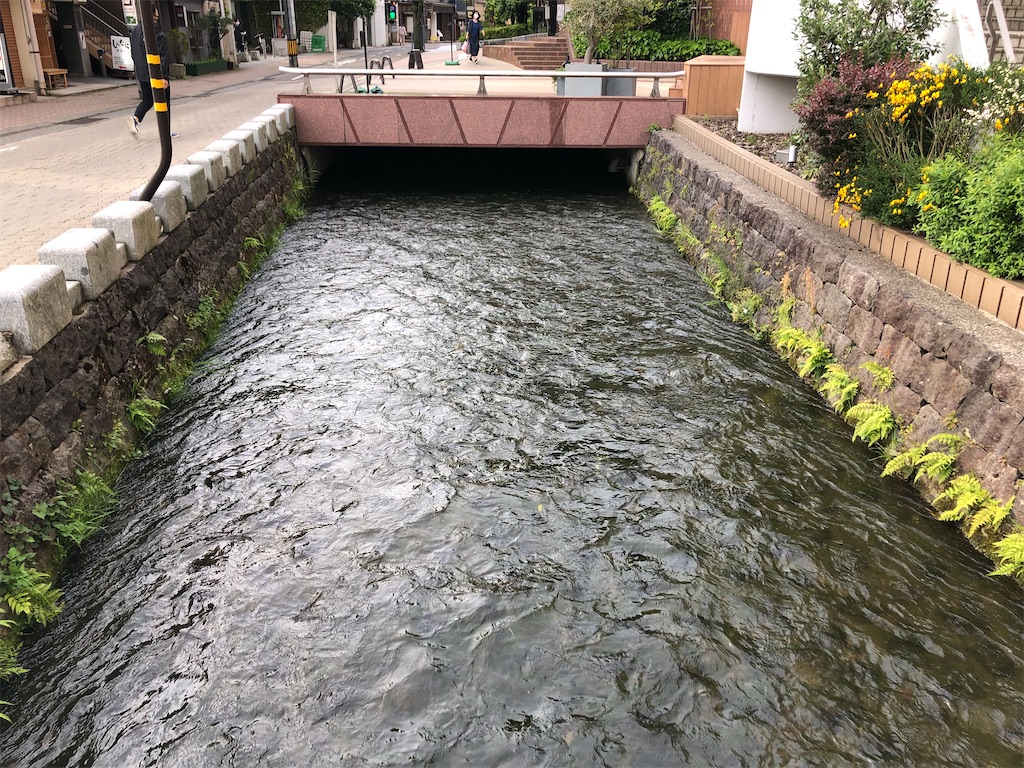 f:id:Shinjuku_3chome:20220607022742j:image f:id:Shinjuku_3chome:20220607022742j:image