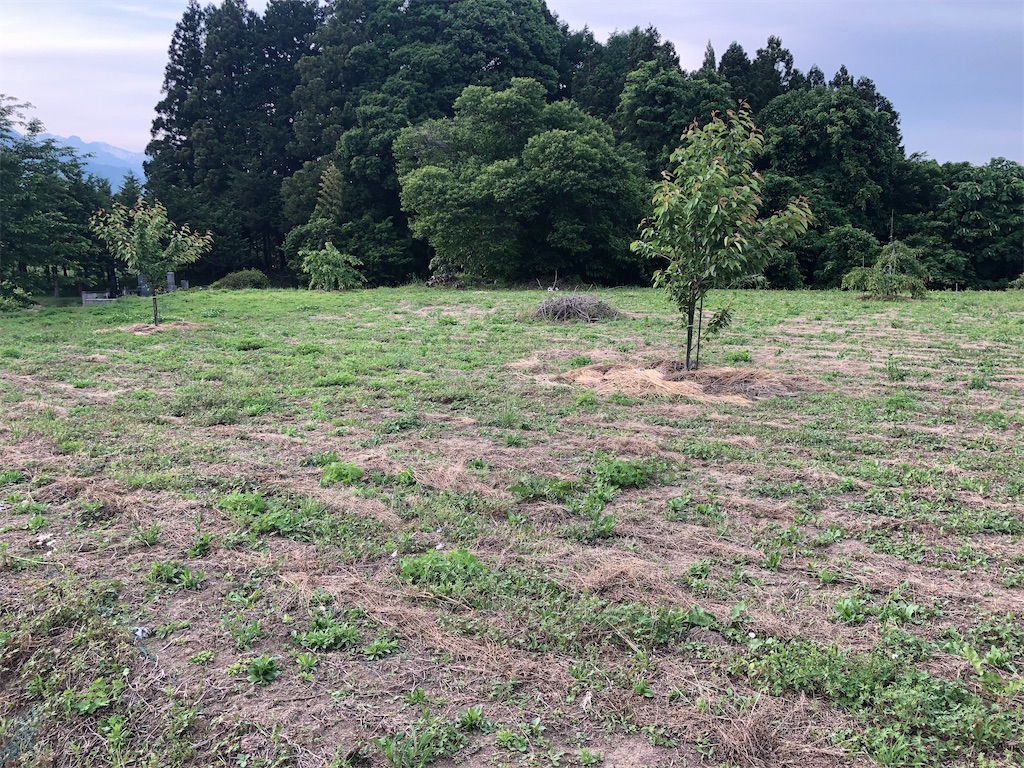 f:id:Shinjuku_3chome:20220612193250j:image