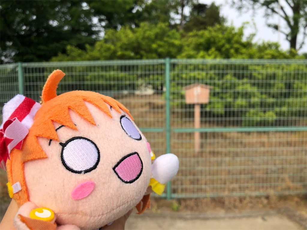 f:id:Shinjuku_3chome:20220617164839j:image