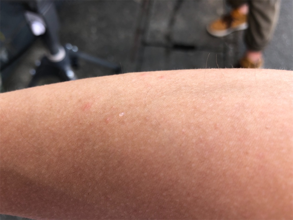 f:id:Shinjuku_3chome:20220908074746j:image